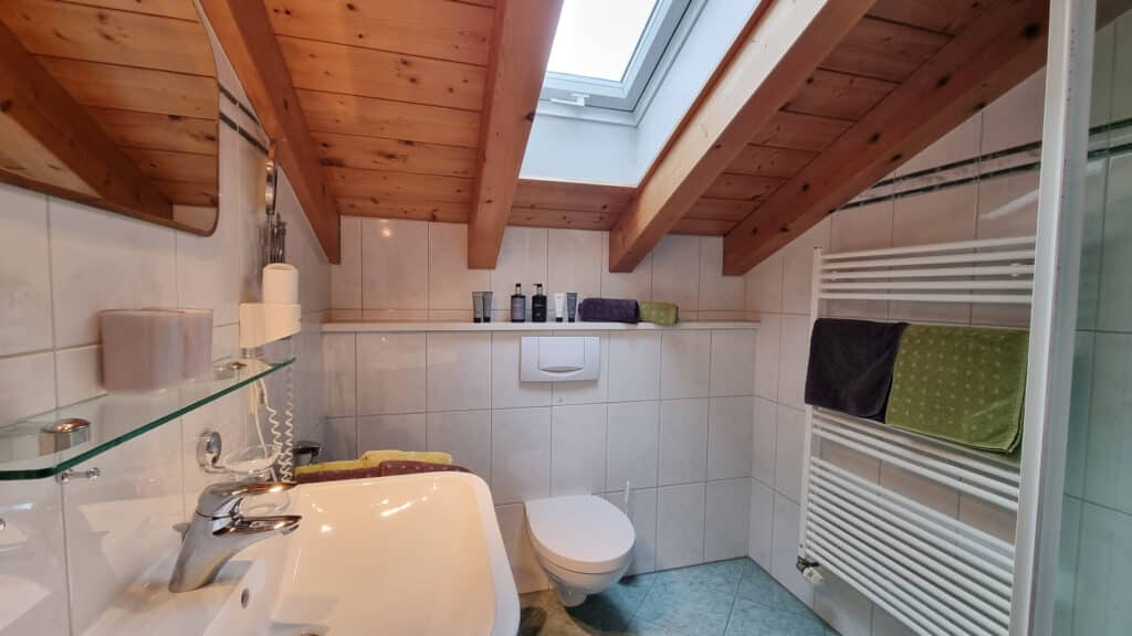 Ferienwohnung Wetterstein_Dusche mit WC und Waschbecken im Alpenparadies Kruen